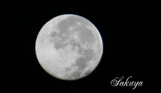e0122194_12223996.jpg