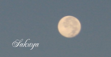 e0122194_1225478.jpg