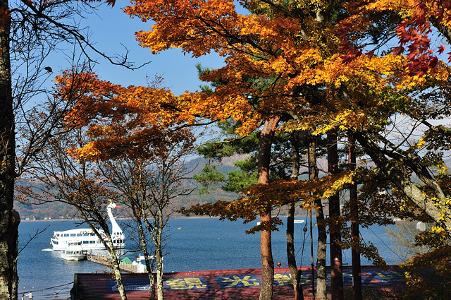 b0082895_1148367.jpg