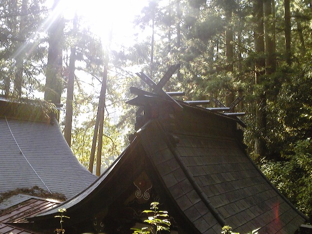 c0018195_8434792.jpg