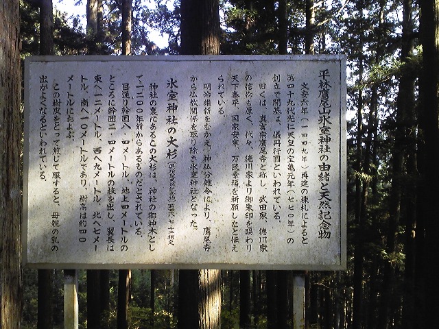 c0018195_8495450.jpg