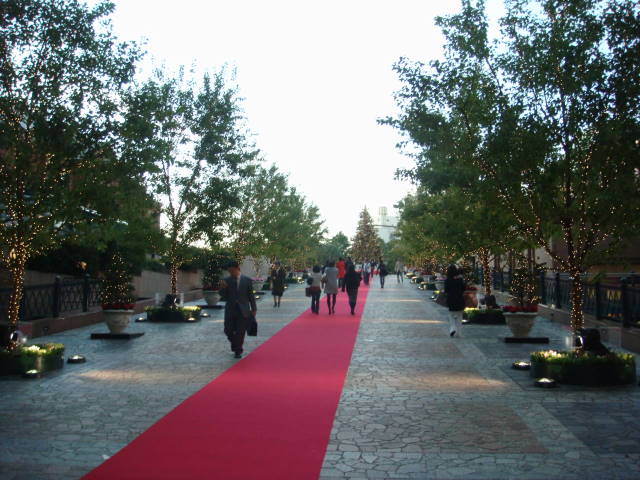 d0098295_23135093.jpg