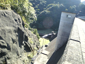 b0174996_2162030.gif