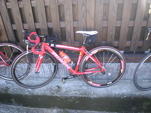 b0174996_2185894.gif