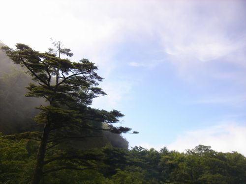 c0225297_5174640.jpg
