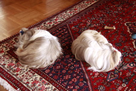 c0090198_1515514.jpg