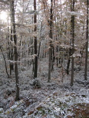 e0049598_1613418.jpg