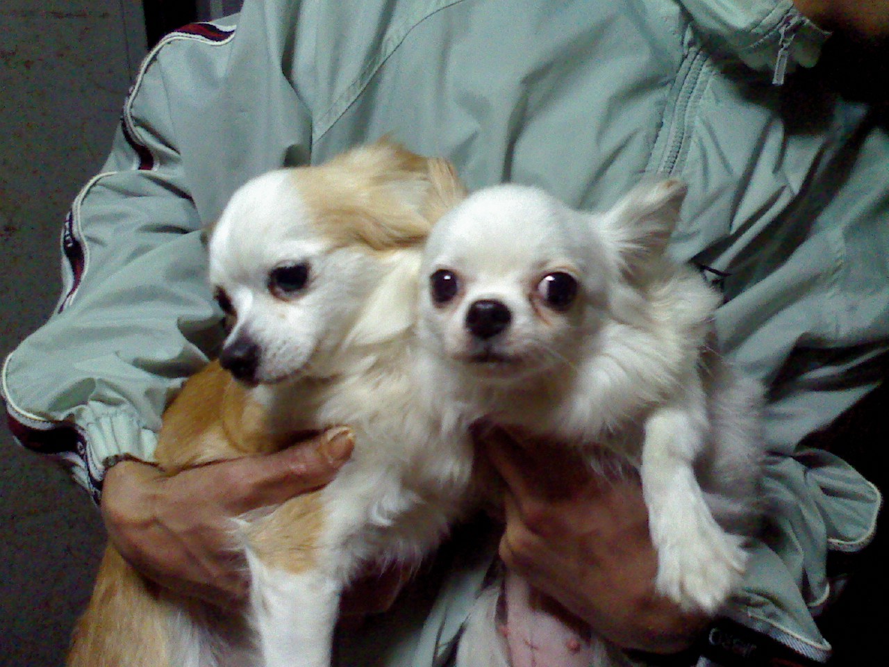 a0133999_23523515.jpg