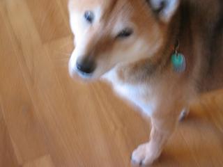 c0221299_17461745.jpg