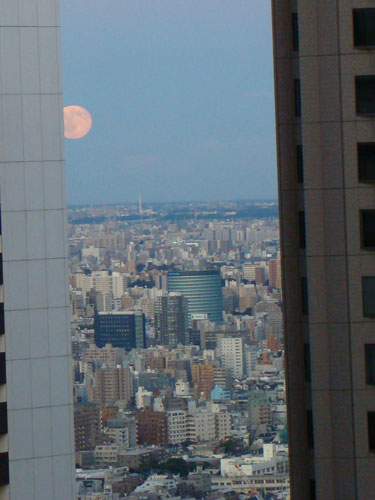 a0047200_14432064.jpg