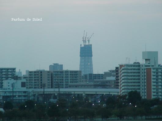 d0087503_12354647.jpg