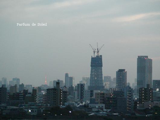 d0087503_12361525.jpg