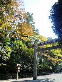 c0148705_22532462.jpg