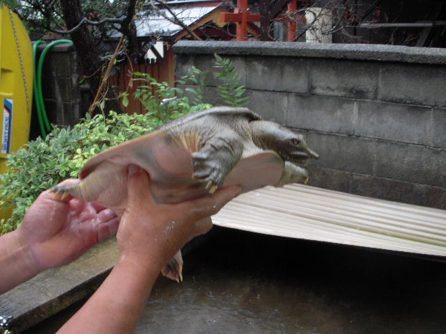 a0091907_16534367.jpg