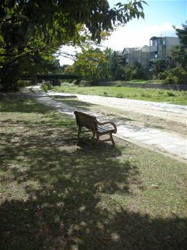 c0145209_131353.jpg