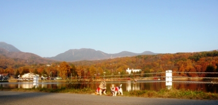 e0078510_22441750.jpg