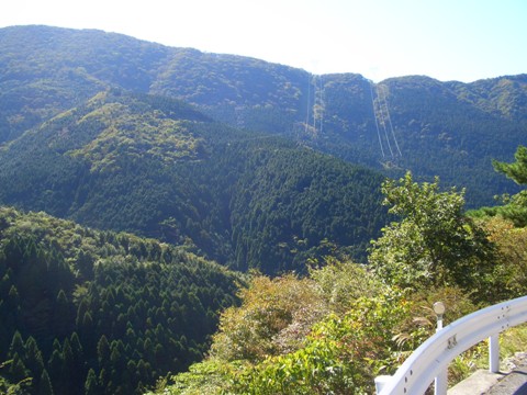 e0033713_1053478.jpg