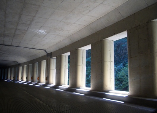 e0033713_11053.jpg