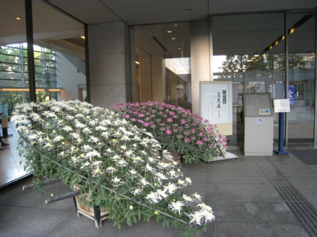 c0175715_1695439.jpg