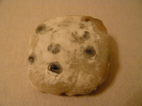 b0019820_2021331.jpg