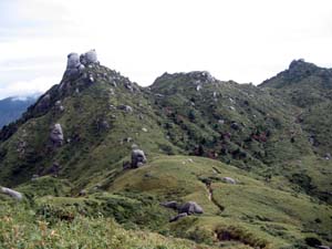 a0126128_2345957.jpg