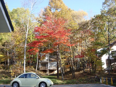 c0078428_19363229.jpg