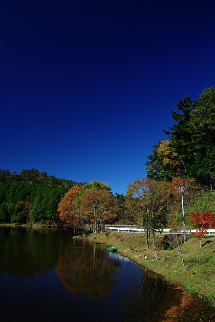 b0134829_1714647.jpg