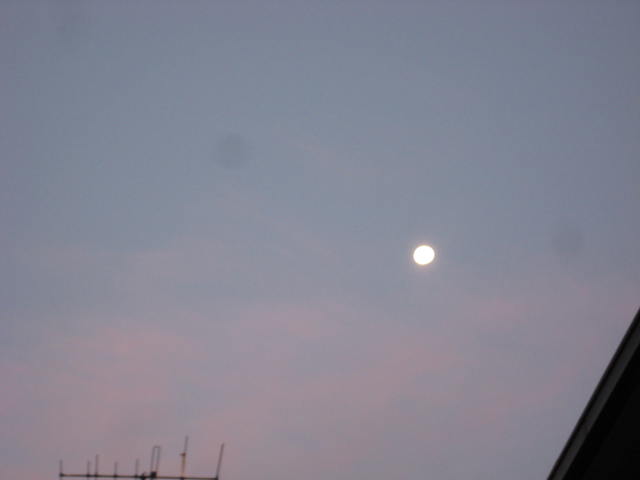 e0166032_2032761.jpg