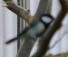c0134734_044250.jpg