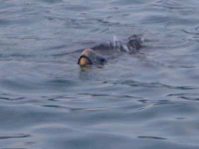 e0158841_16272550.jpg