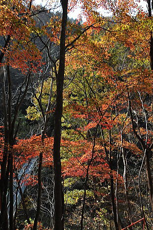 f0094843_1226487.jpg