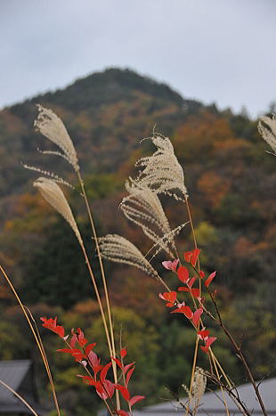 f0094843_12294585.jpg