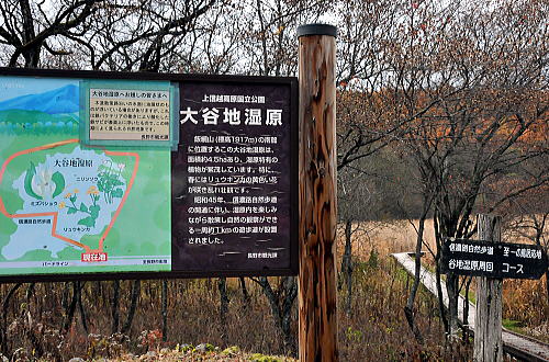 f0094843_14102873.jpg