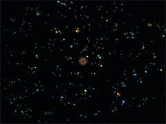 e0005548_21254364.gif