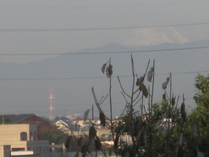 e0121548_21275480.jpg