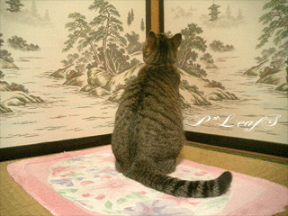 c0176651_23422289.gif