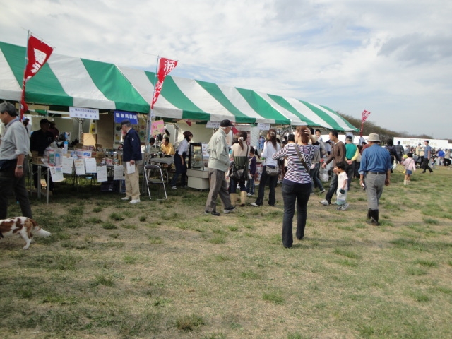 c0169360_834465.jpg