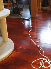 b0044761_16132067.jpg