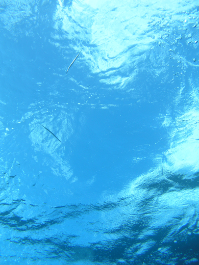 b0062363_19114578.jpg