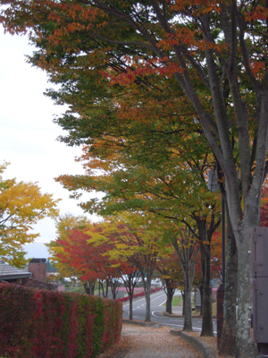 c0050264_10152855.jpg
