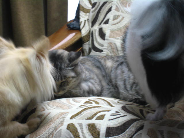 d0070473_2146937.jpg