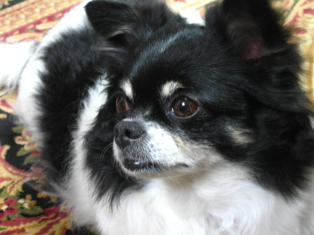 d0070473_21565286.jpg