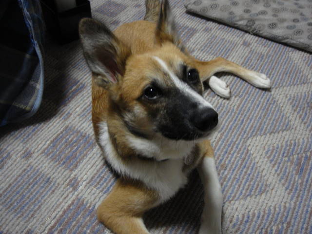 b0177174_2338382.jpg