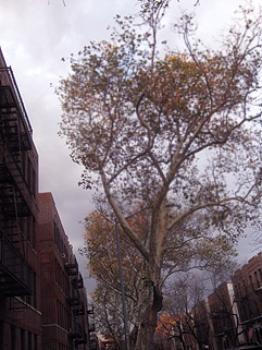 f0056476_2115367.jpg