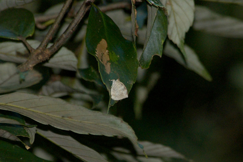 f0090680_23123793.jpg