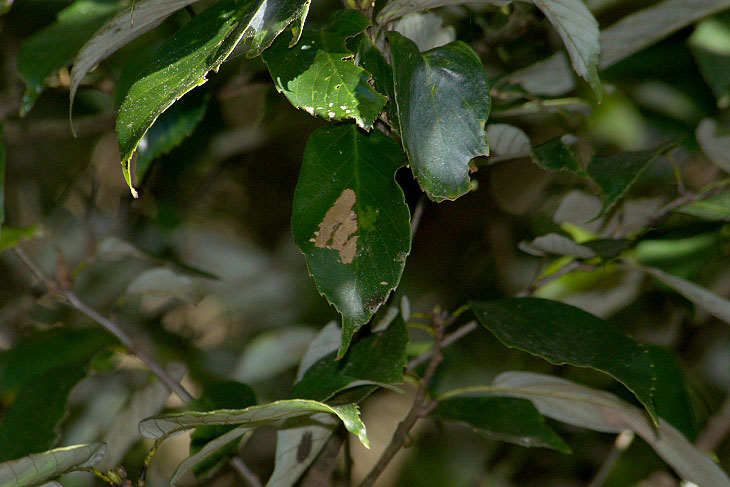 f0090680_23153377.jpg
