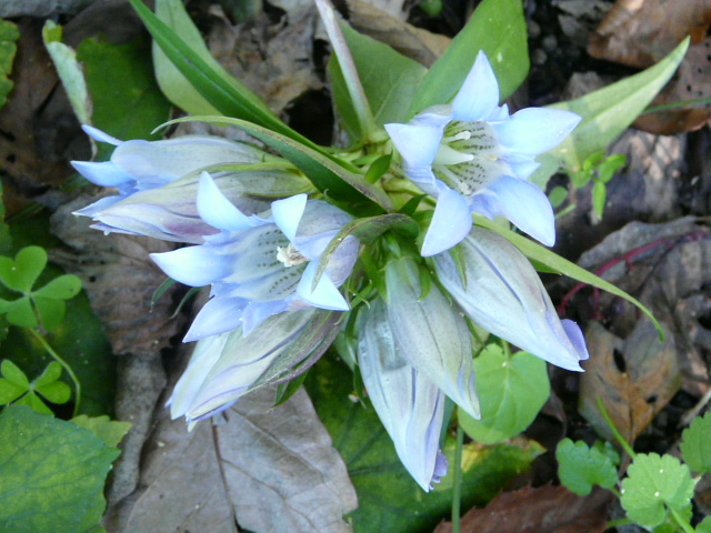 e0145782_17253575.jpg