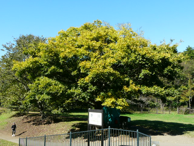 e0145782_17291083.jpg