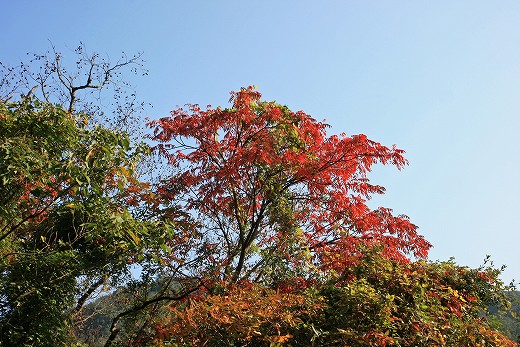 e0190885_20333511.jpg
