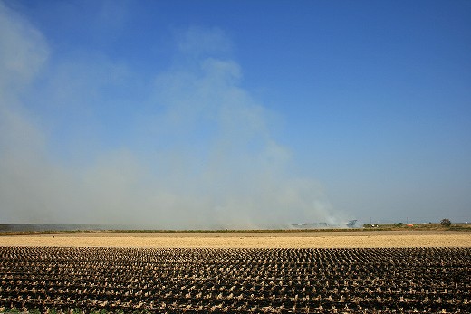 e0190885_20363820.jpg